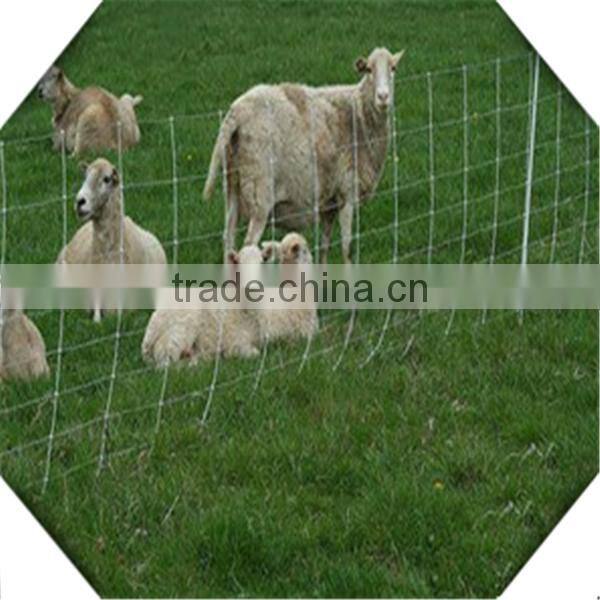 high quality galvanized field fence for sale / sheep fence / galvanized fiedl fence for sale