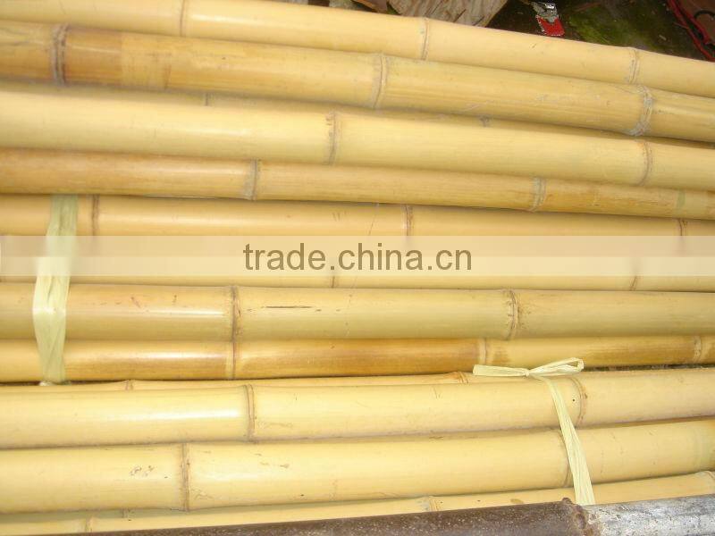 Raw Bamboo Cane Export