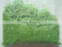 TW-813 Food Smasher (Video)