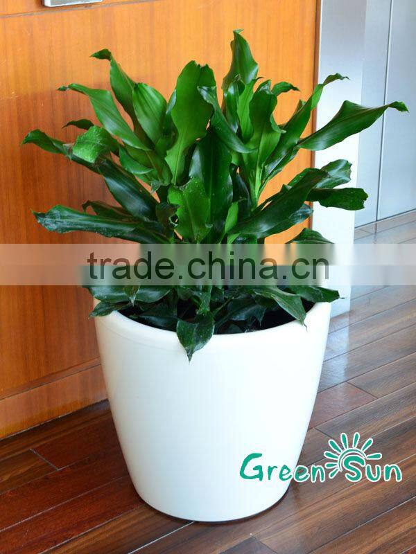 China import Flower pot decor for home