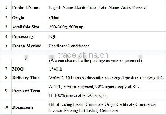 Frozen bonito tuna fish whole round