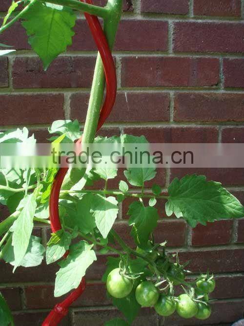 3mm electro-galvaized tomato trellis high quality China supplier on sale