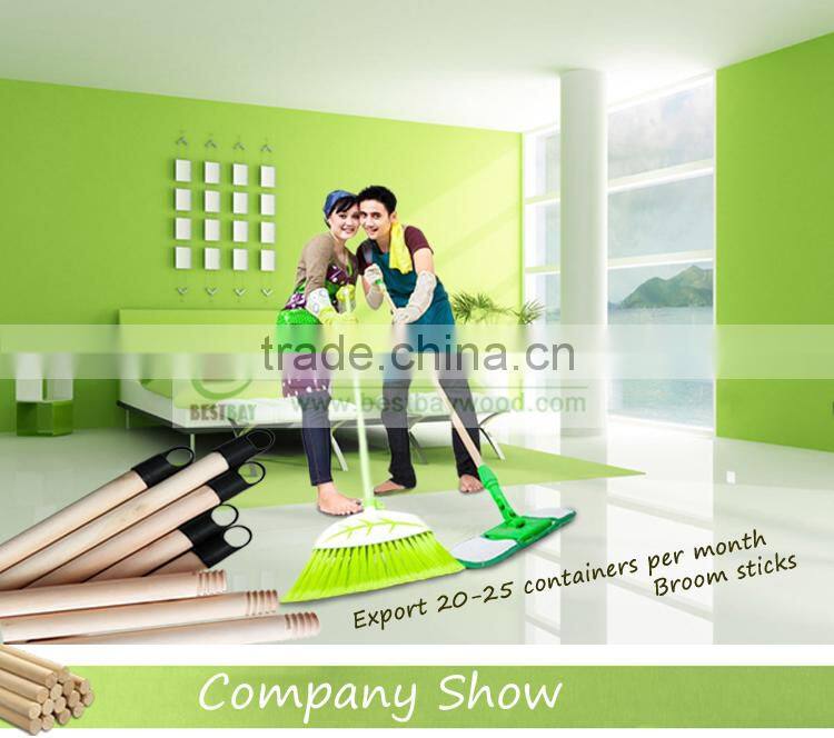 China broom handle end cap