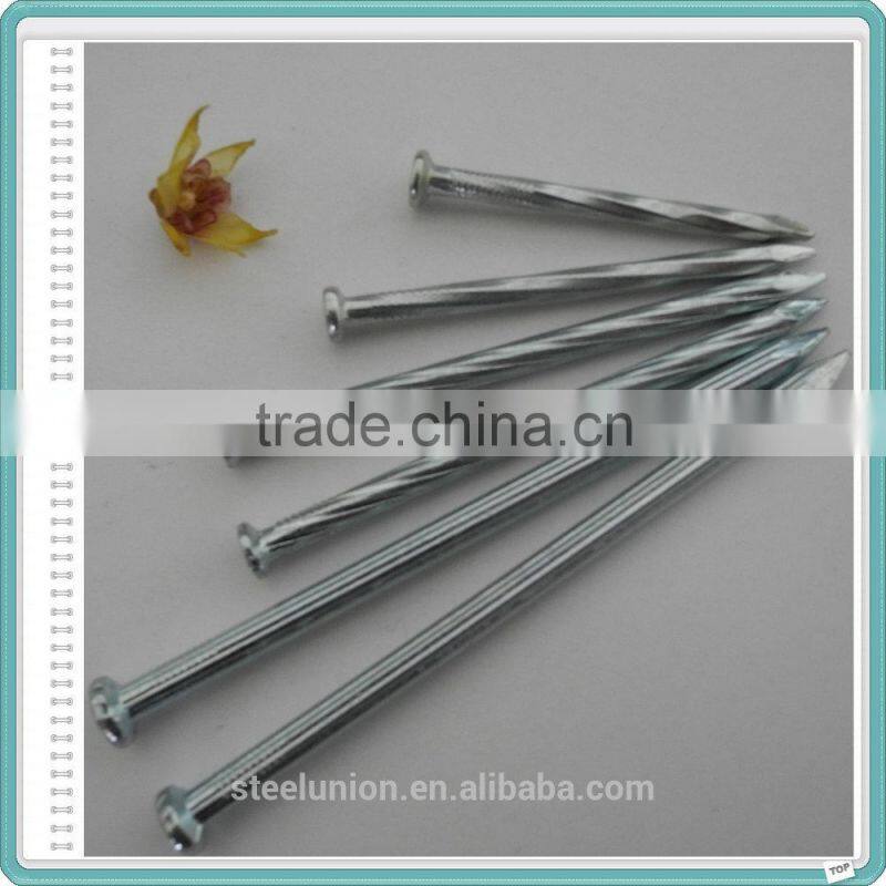 Hardened Steel Nails/Large Steel Nails/Concrete Nails China