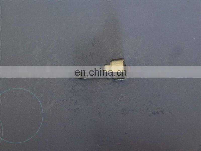 D elphi Common Rail Injector Nozzle L222PBC