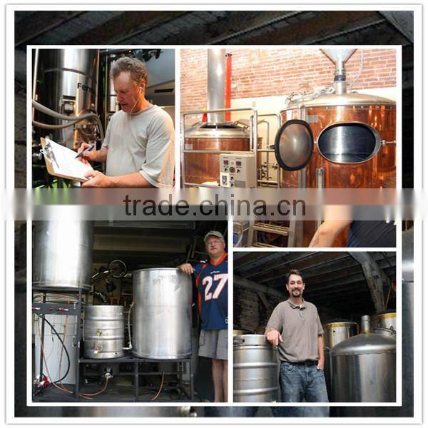 200L/batch small beer brewing equipment,craft beer making equipment