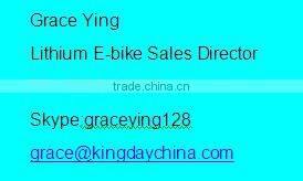 Foldable e-bike/Folding Electric bike/ popular fold electric bicycle