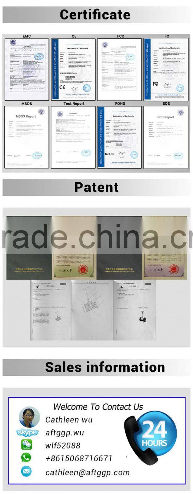 2 Wheel Standing Self Balance Electric Scooter/48v 20ah Battery Power Electric Scooter/750w Electric Scooter