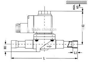 BLR/EVR New diaphragm water solenoid valve
