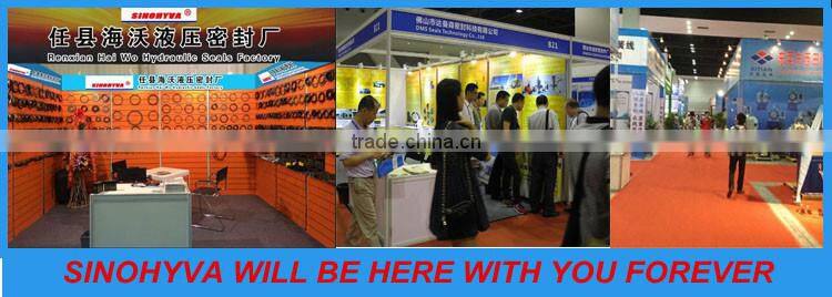 OEM NBR O Ring Auto Oil Seal for Sealing Machine