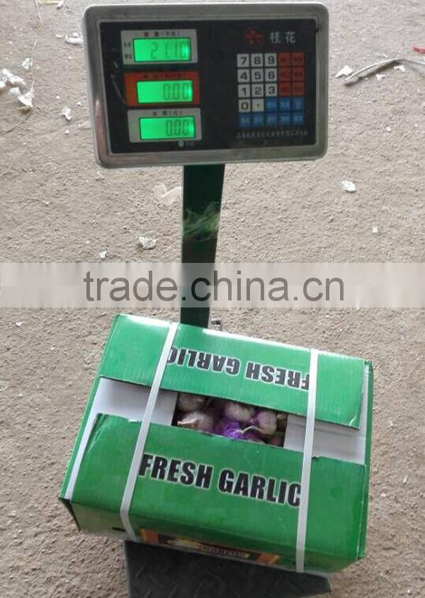 We can supply fresh garlic/ginger/potato/onion/chilli