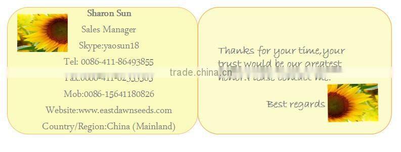 Hot Sale Products Pumpkin Seeds Kernels With Good Price