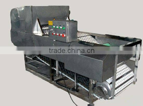 Cherry seed removing machine