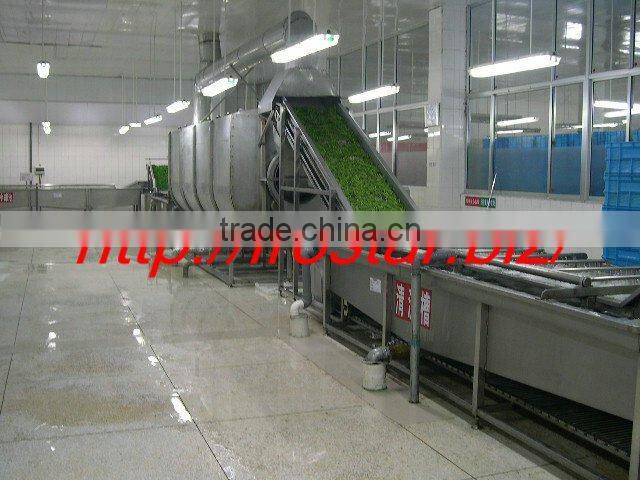 Frozen Green Asparagus