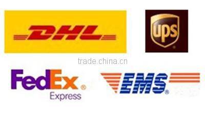 Adult Anal Sex Toy Anal Plug 2 Size Hollow Ball Anal Hook Steel Fetish Chastity Gay