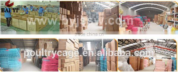 Hot Sale Decorative Large Chinese Metal Bird Cage (wholesale,good quality,Made in China)