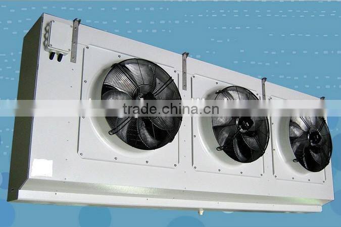 cold storage/cold room/ freezer room