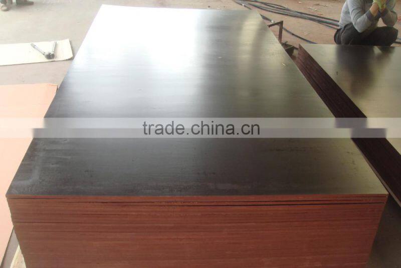 hardwood core 12mm shuttering plywood for formwork