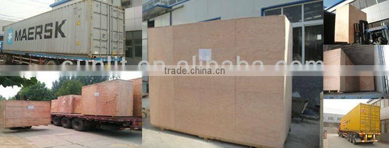 Potato chips automatic packing machinery