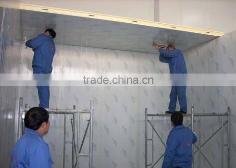 Commercial gas refrigerators Meat Storage Freezer room