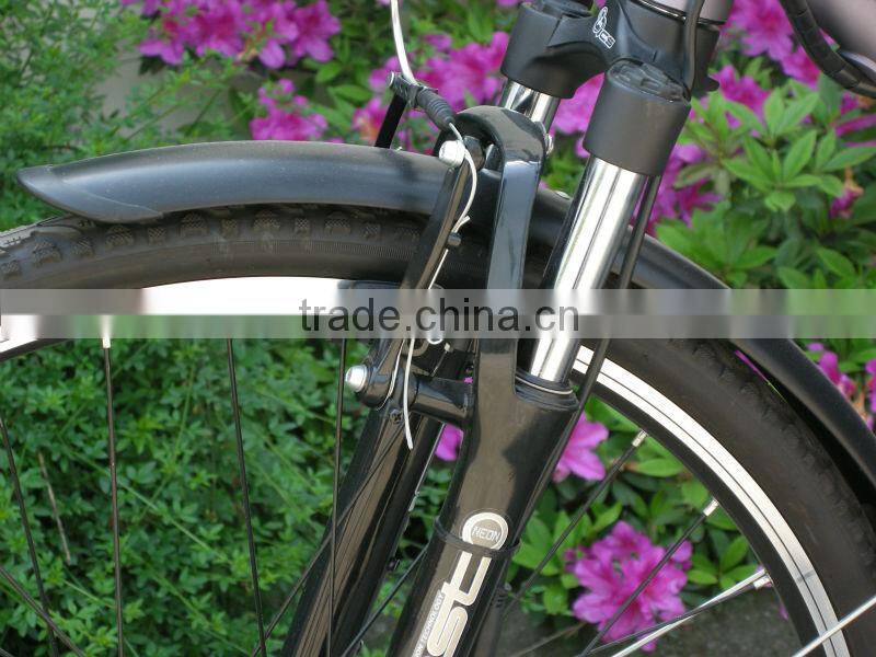 electric bike high speed with 36v 10ah lithium battery