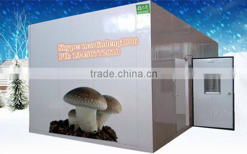 PU Insulation Freezer Meat Storage Room