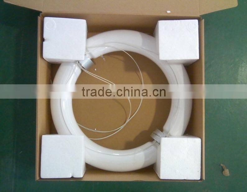 Induction Lamp Light Source For Plants 300w With Ballast