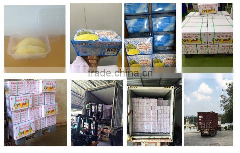 Thai Ao Chi's Frozen Durian Monthong with seed 450 grams box from Thailand