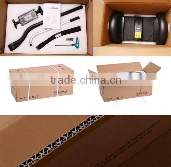 Powerful Outdoor battery power E Mobility 2 wheel stand up trike electric scooter