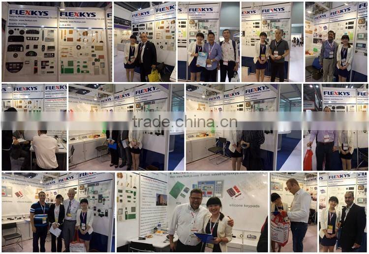 FPC Copper Flexible Printed Circuit membrane switch made in China