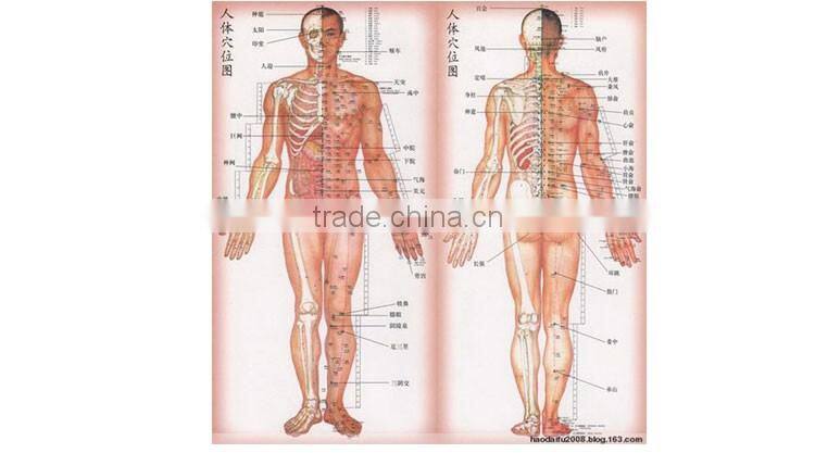 portable medical laser pain relief electronics acupuncture machine