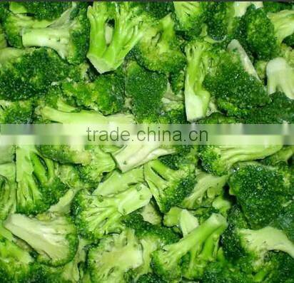 IQF broccoli /frozen broccoli