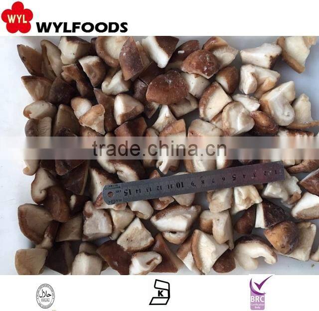 iqf price for frozen shiitake quarter 2015 crop