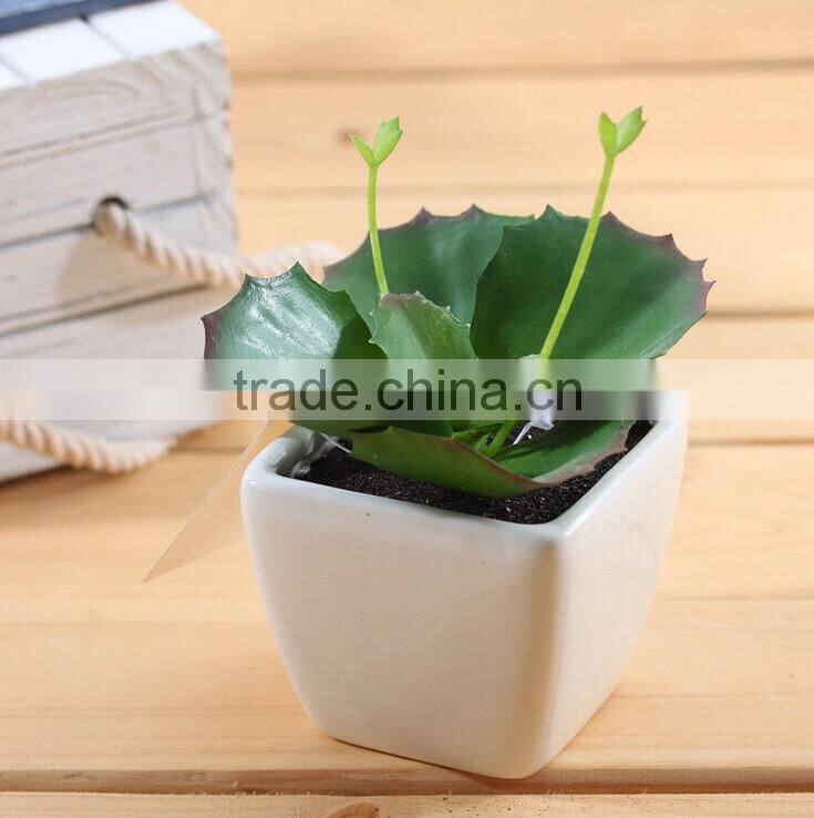 Mini artificial cactus with pot for indoor decoration
