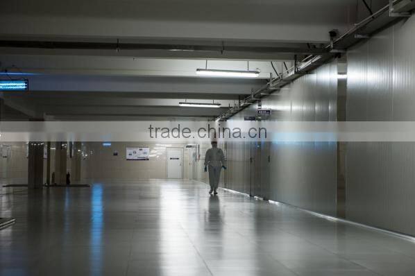 FD Strawberry Fresh Fruit for Jam Strawberry