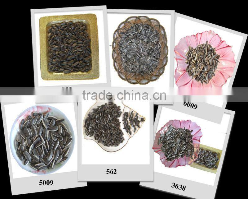 HULLED BULK BLACK FRESH SUNFLOWER SEEDS FOR SALE 2014