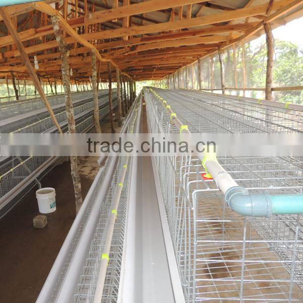 TAIYU Chicken Farm Chicken Cage for Sale