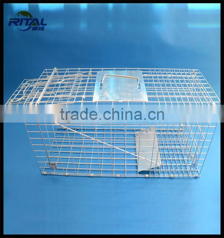 new model Eco-friendly Large automatic mouse trap
