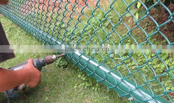 Hot sales!!! galvanized and pvc coated Welded Wire Mesh