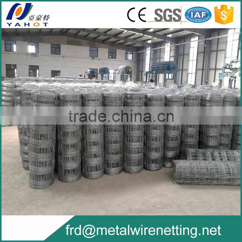 Direct factory horse mesh fence making machine