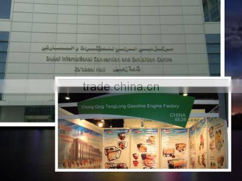 Best price and good quality with 8hp power diesel fuel engines for sale