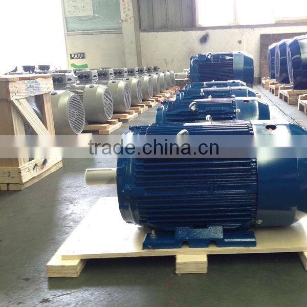 NEMA Standard TEFC Ball Bearing IP55 Protection Three Phase Electric Motor