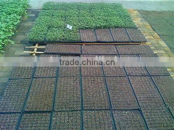 Zhejiang manufacture High reflective growing systems trays