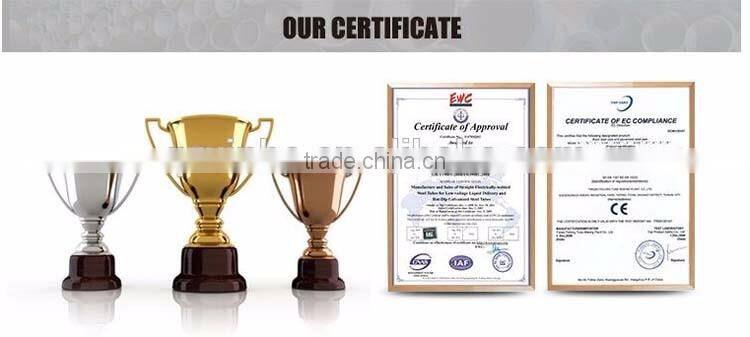 High Quality Tunnel Greenhouse