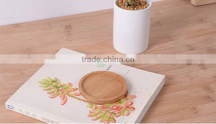 Indoor small white glazed ceramic teacup planter pot with bamboo tray