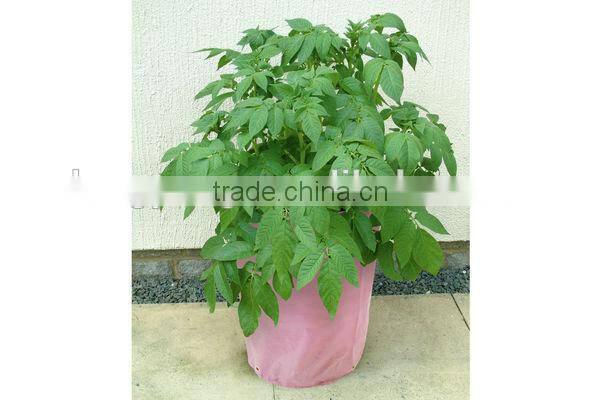 Colorful PE Patio,Garden Planting Bag,Growing Bag