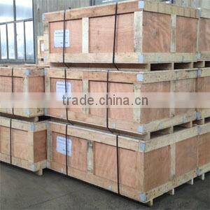 European decorative cast iron garden lamp post