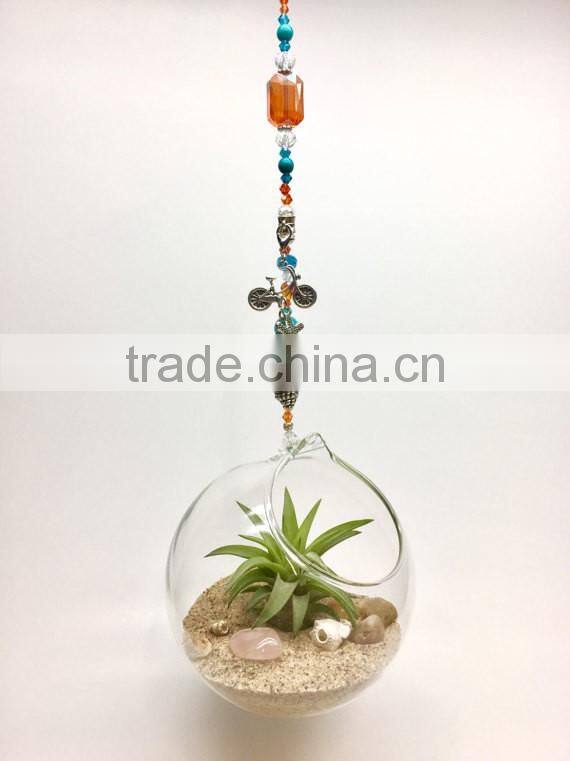 Hanging Glass orb ball Terrarium Ornaments