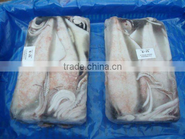 FRESH Frozen Squid Whole Loligo