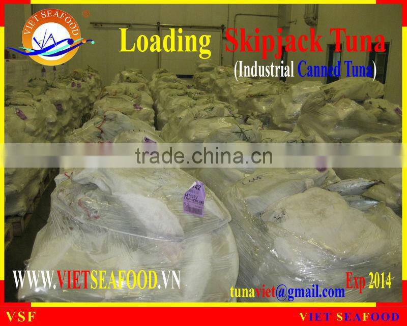 LOADING SKIPJACK TUNA W/R